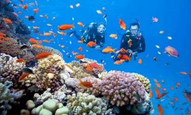 Tour Cù Lao Chàm – Hội An – 1 Ngày